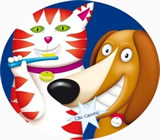 Banho e Tosa de Animais no Bairro Flamengo