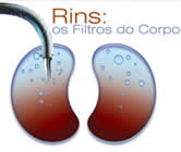 Nefrologia e Nefrologista no Bairro Flamengo