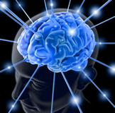 Neurologia e Neurologista no Bairro Flamengo